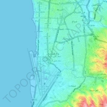 Burj El Brajnehの地形図、標高、地勢