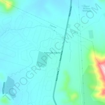 Foresta de Zapallarの地形図、標高、地勢