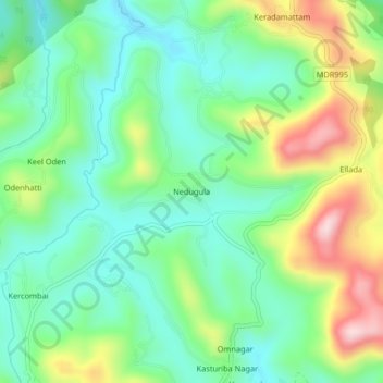 Nedugulaの地形図、標高、地勢