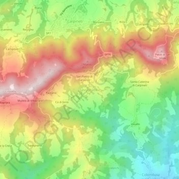 Savognaticaの地形図、標高、地勢