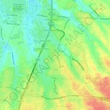 Torrenovaの地形図、標高、地勢