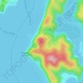 Junction Hillの地形図、標高、地勢