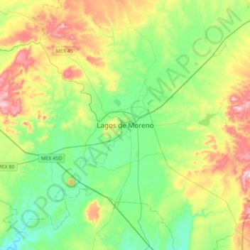 Lagos de Morenoの地形図、標高、地勢