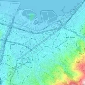 Bauchriehの地形図、標高、地勢