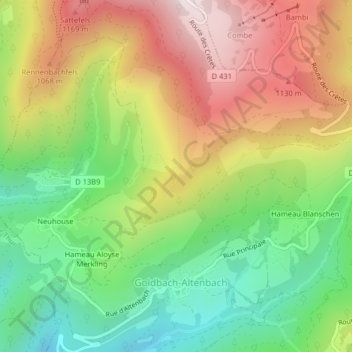 Vosgesの地形図、標高、地勢