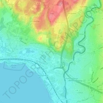Rickenbachの地形図、標高、地勢