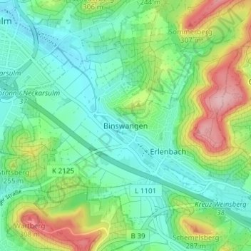 Binswangenの地形図、標高、地勢