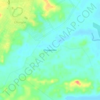 Chongoncitoの地形図、標高、地勢