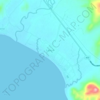 Ligayaの地形図、標高、地勢