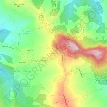 Perticaraの地形図、標高、地勢