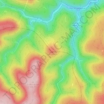 Geisskopfの地形図、標高、地勢