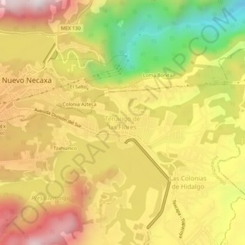 Tenango de las Floresの地形図、標高、地勢