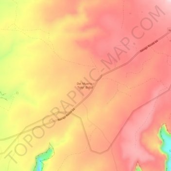 Del Muertoの地形図、標高、地勢