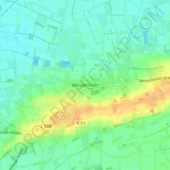 Westenholzの地形図、標高、地勢