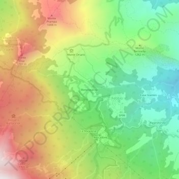 Roncopianigiの地形図、標高、地勢