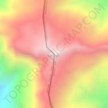 Cerro Pintadoの地形図、標高、地勢