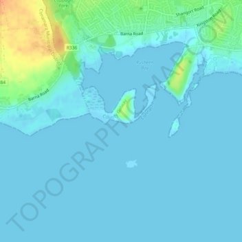 Knocknagoneenの地形図、標高、地勢