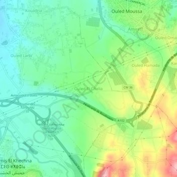 Ouled El Ghaliaの地形図、標高、地勢