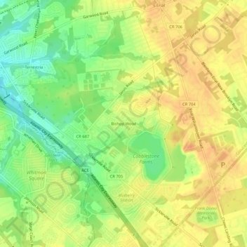 Bishop Woodの地形図、標高、地勢