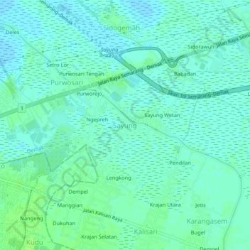 Sayungの地形図、標高、地勢