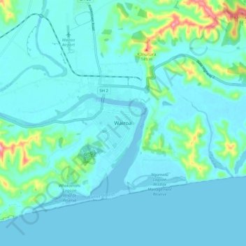 Wairoaの地形図、標高、地勢