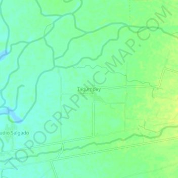 Tagumpayの地形図、標高、地勢
