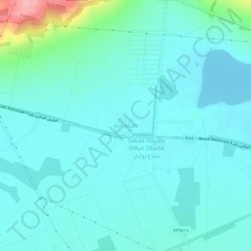 Ain Allahの地形図、標高、地勢