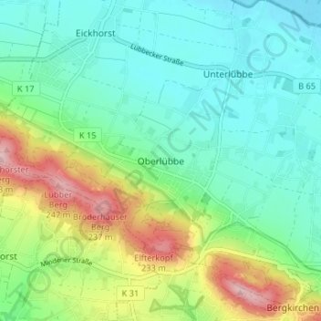 Oberlübbeの地形図、標高、地勢