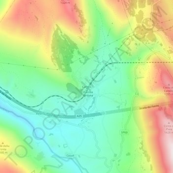 Carritoの地形図、標高、地勢