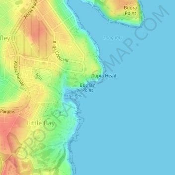 Buchan Pointの地形図、標高、地勢