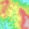 Wiesingの地形図、標高、地勢