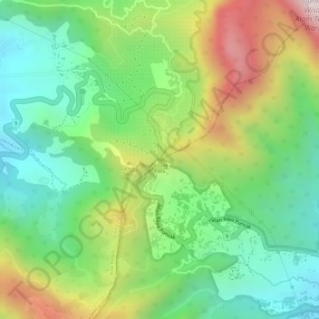 Puncak Passの地形図、標高、地勢