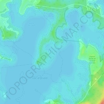 Lac de la Forêt d'Orientの地形図、標高、地勢