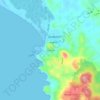 El Cerroの地形図、標高、地勢