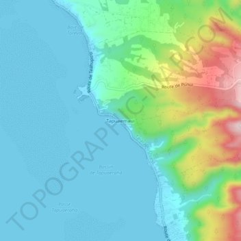 Tapuaemauiの地形図、標高、地勢