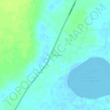 Pino Suárezの地形図、標高、地勢