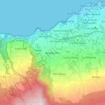 Realejo Altoの地形図、標高、地勢