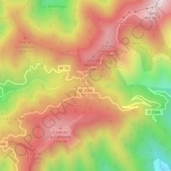 Col de Turiniの地形図、標高、地勢