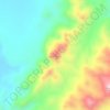 Cerro Coloradoの地形図、標高、地勢