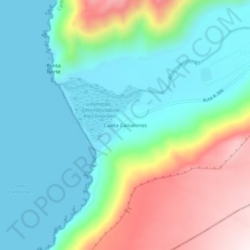 Caleta Camaronesの地形図、標高、地勢