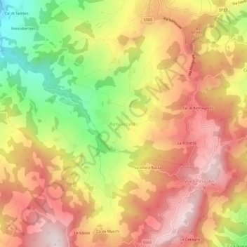 Roncastaldoの地形図、標高、地勢