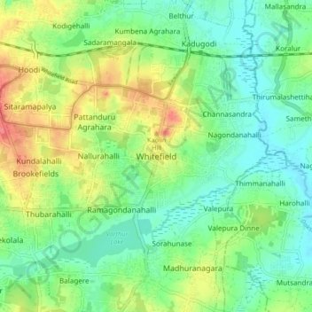 Whitefieldの地形図、標高、地勢