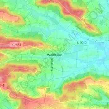 Waldtannの地形図、標高、地勢