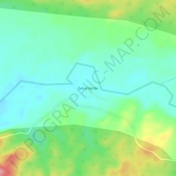Selva Verdeの地形図、標高、地勢