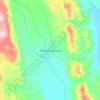 Damián Carmonaの地形図、標高、地勢