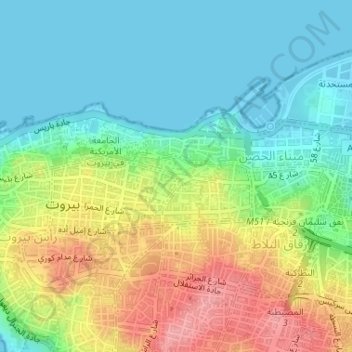 Clémenceauの地形図、標高、地勢
