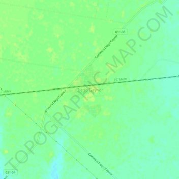 Diego Gaynorの地形図、標高、地勢