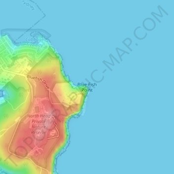 Blue Fish Pointの地形図、標高、地勢