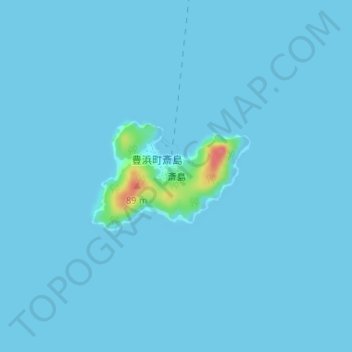 斎島の地形図、標高、地勢