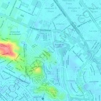 Ciudad Colonの地形図、標高、地勢